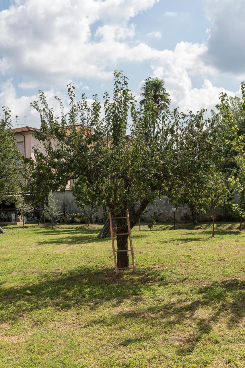 La Chiusa Delle Monache Lucca Eksteriør billede